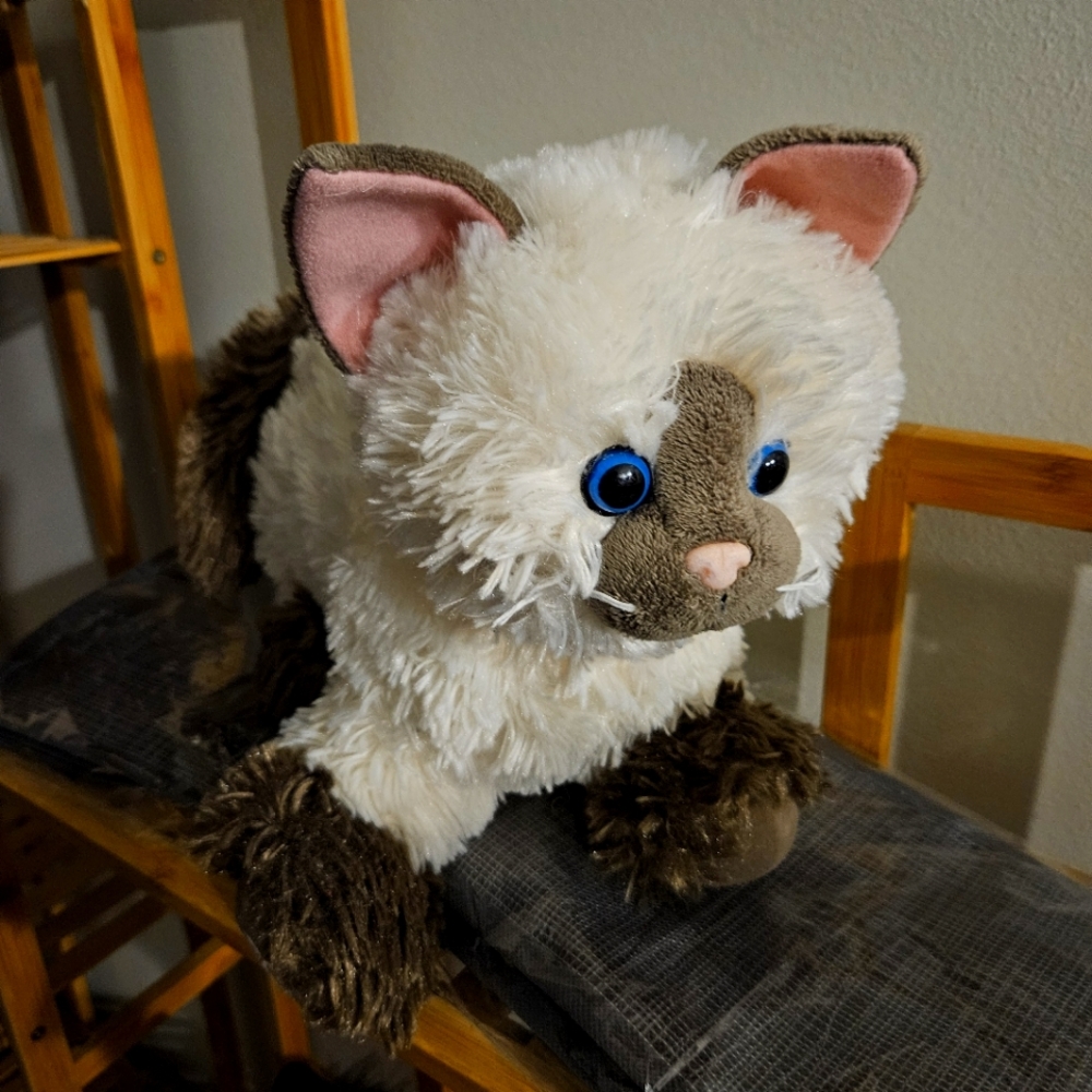 Build A Bear Kitty